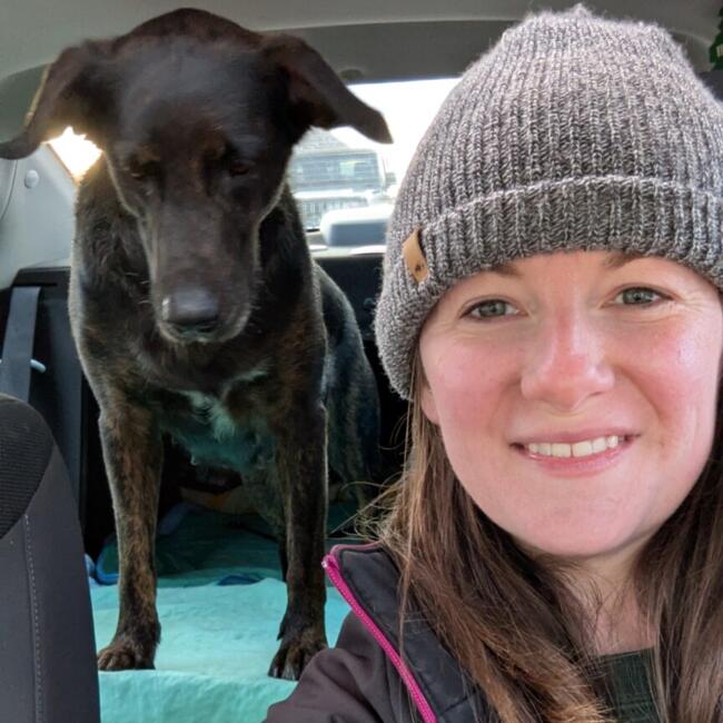 Babysitting job in Toronto: Tara