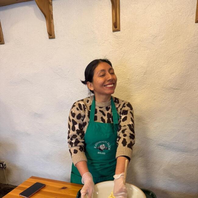 Baby-sitter in Dún Laoghaire: Medalith