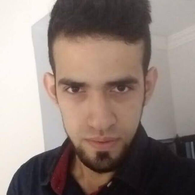 Babysitting job in Armenia: Andres