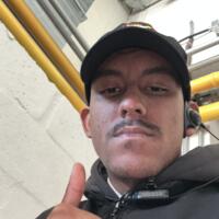 Bruno