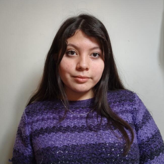 Babysitter in Renca: Catalina