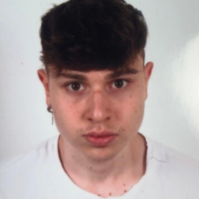 Babysitter a Venaria Reale: Alessandro