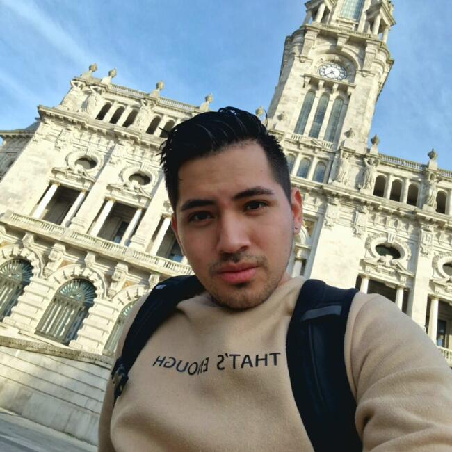 Trabalho de babysitting em Porto: Duglas