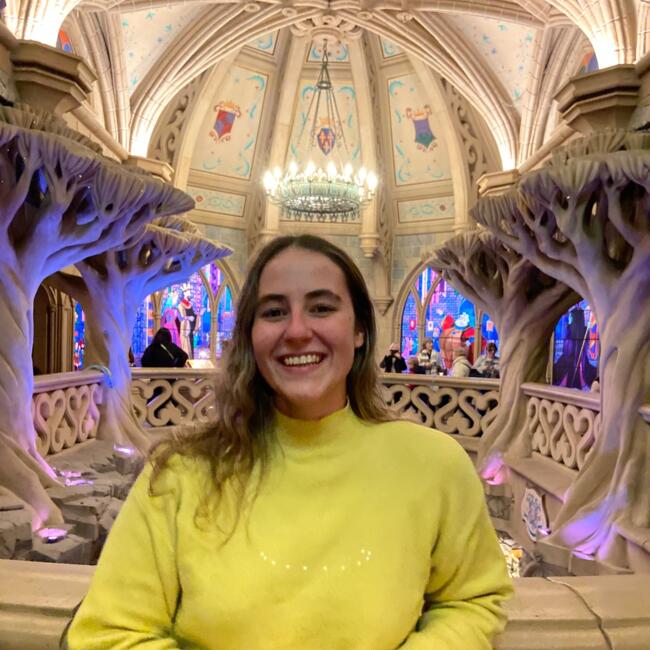 Babysitter in Santo Tirso: Inês