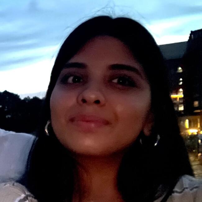 Babysitter in Alexandria: Divita