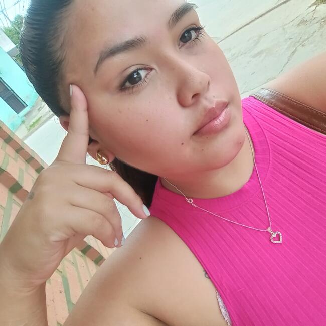 Babysitter in San Salvador de Jujuy: Araceli