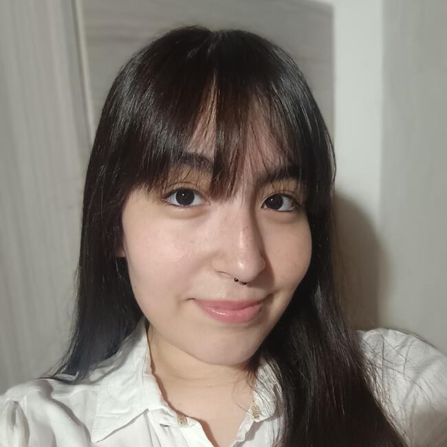 Babysitter in Rosario: Iriel