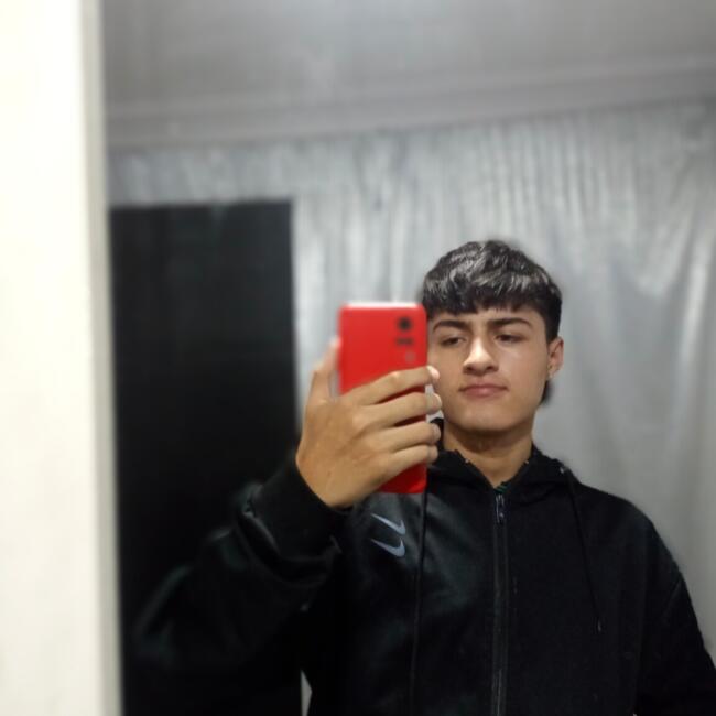 Niñera en Bogotá: Luis sebastian Gonzáles peña