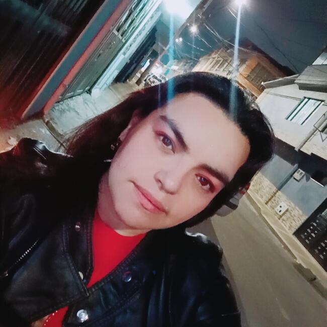 Babysitter in Mosquera: Diana