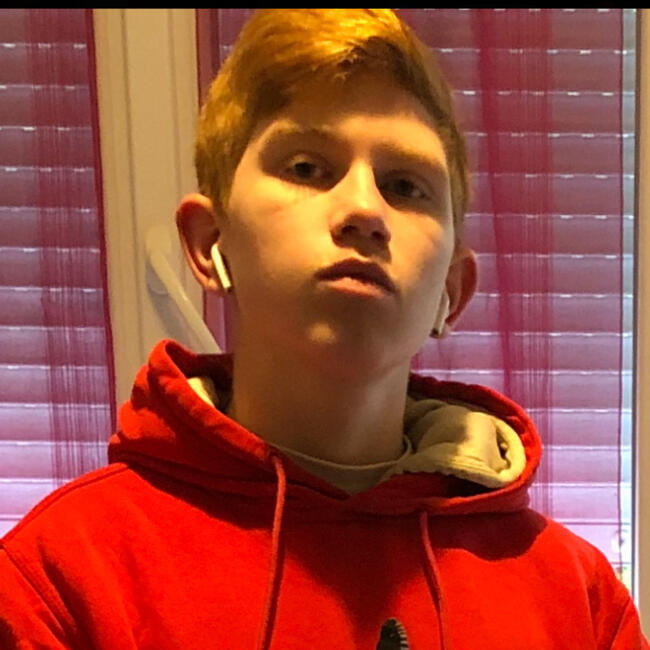 Babysitter in Saint-Mandé: Alexandre