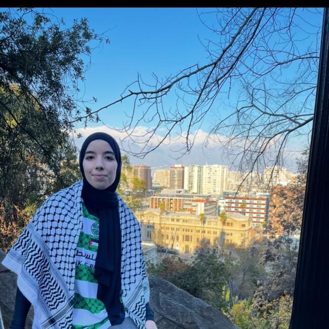 Niñera en Santiago de Chile: Aya