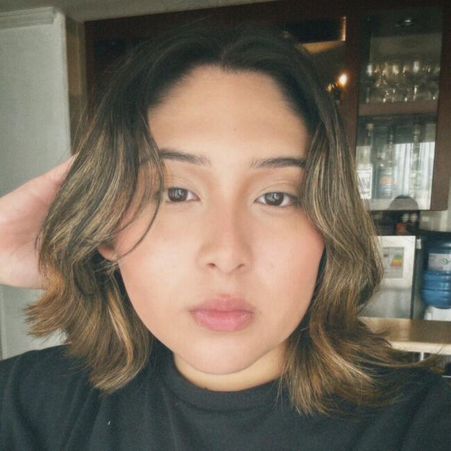 Niñera en Providencia: Amanda