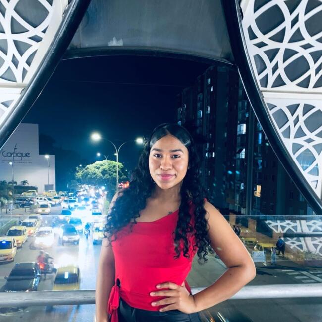 Babysitter in Bucaramanga: Nayelis