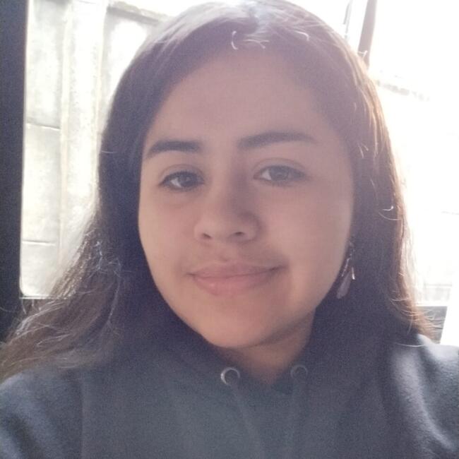 Niñera en Valdivia: Sofia Marín