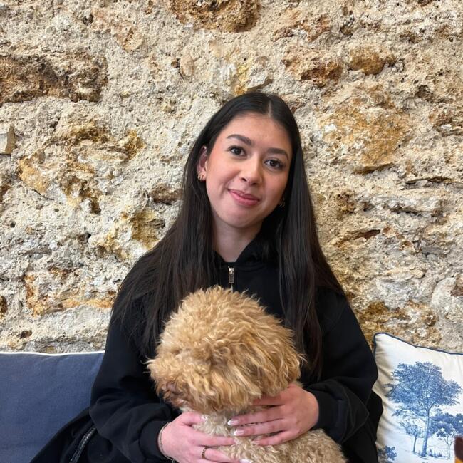 Babysitter in Montigny-le-Bretonneux: Elia