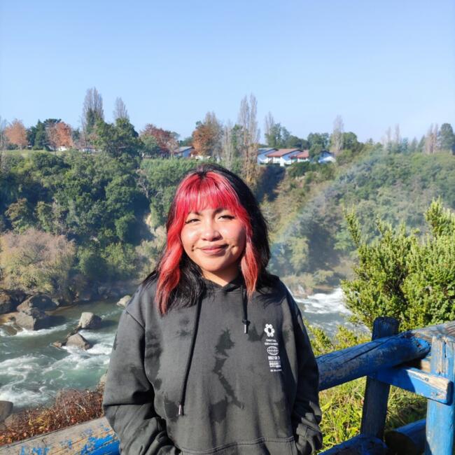 Babysitter in Temuco: Mylen Catalina Neculpán Levina
