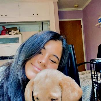 Babysitter in Los Altos: Bella