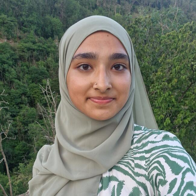 Babysitter in Walsall: Hazera