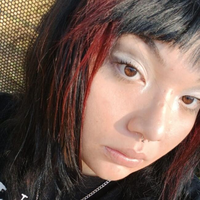 Babysitter in Santa Bárbara d'Oeste: Brendha