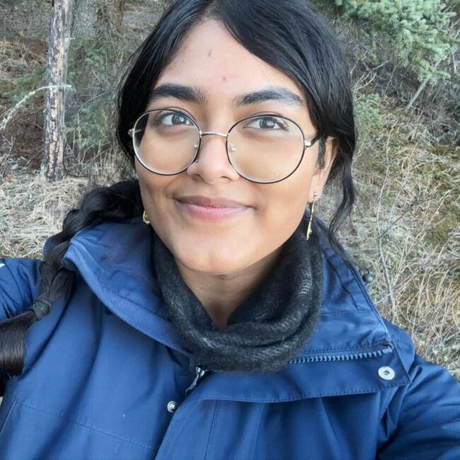 Babysitter in Edmonton: Sanuthi