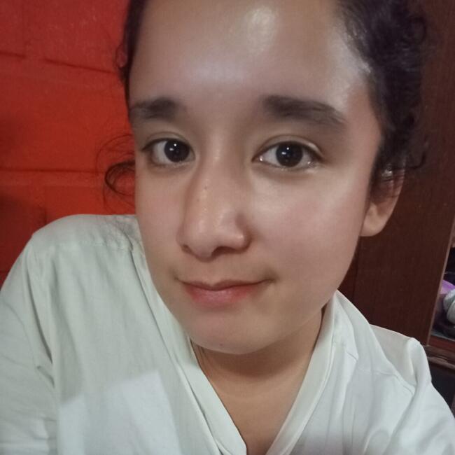 Niñera en Rancagua: Alexandra