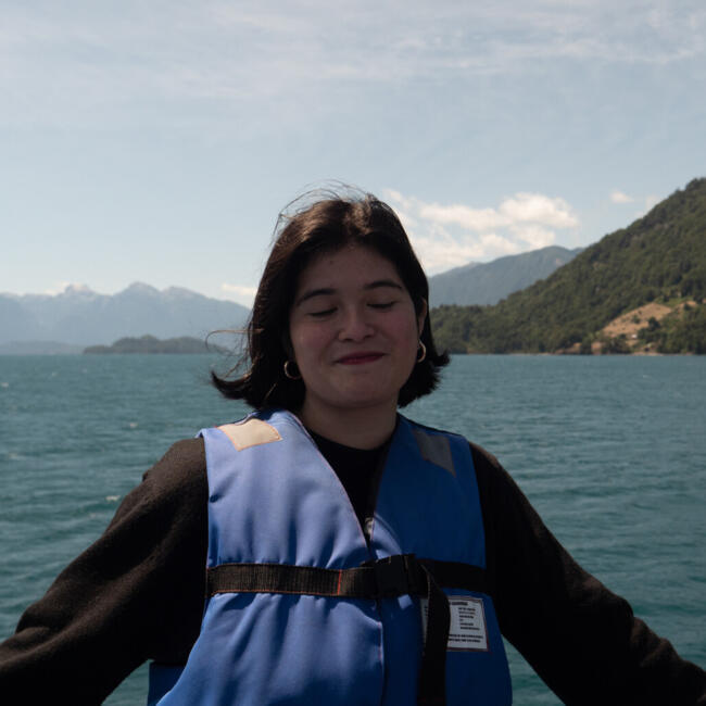 Babysitter in Providencia: Francisca