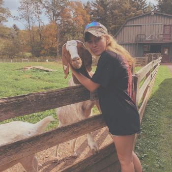 Babysitter Sykesville: Brooke
