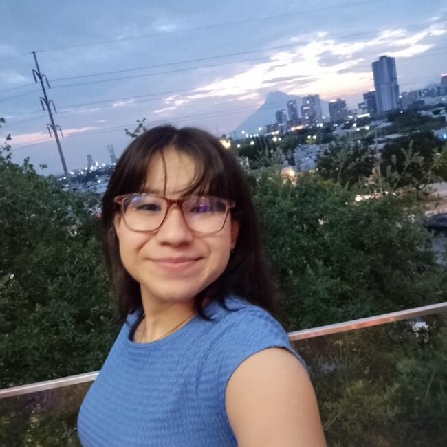 Babysitter in General Escobedo: Milca