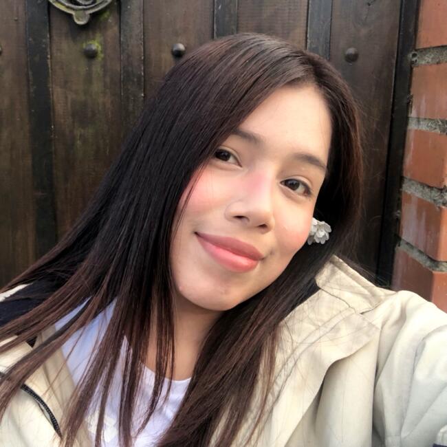 Niñera en Talcahuano: Araceli