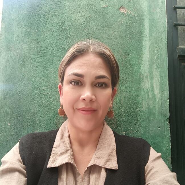 Babysitter in Aguascalientes: Fabiola