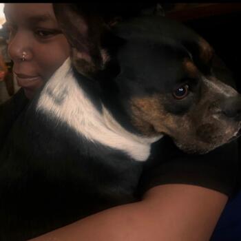 Babysitter Rialto: Lakia