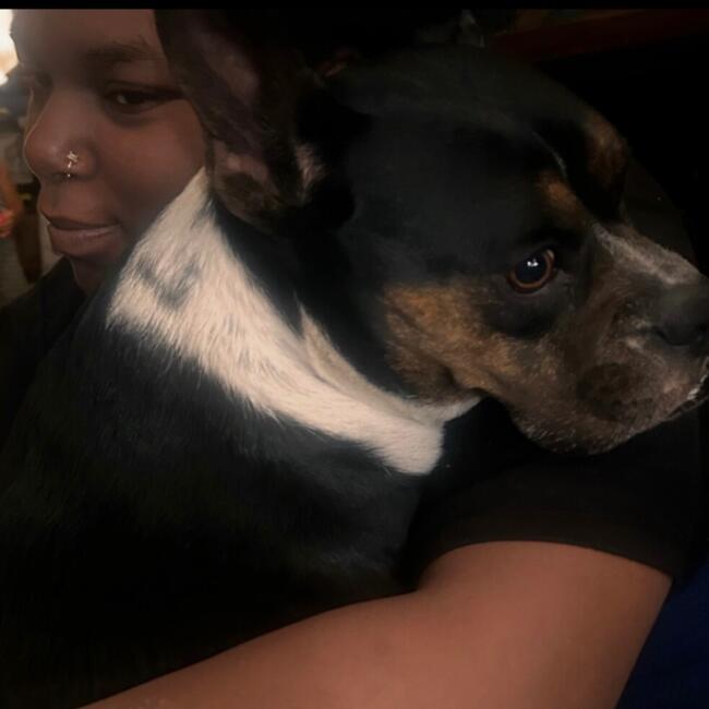 Babysitter in Rialto: Lakia