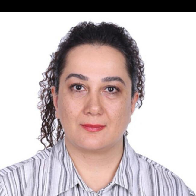 Babysitter in Vejle: Faezeh