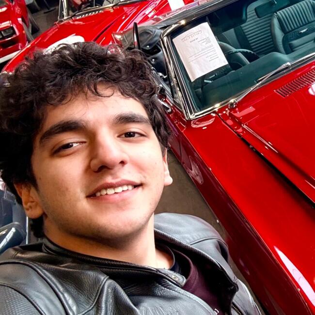 Babysitter in Strasbourg: Mohammad Rasoul