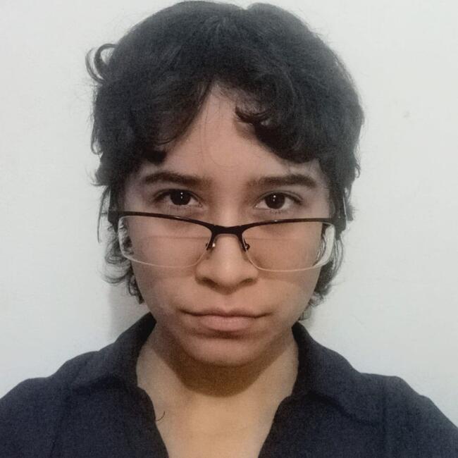 Babysitter in Lima: Camila Fernanda