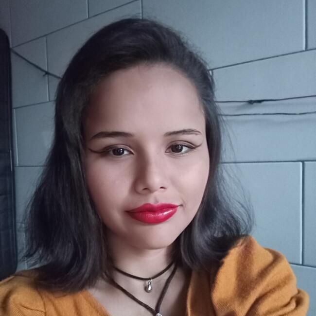 Babysitting job in Bento Gonçalves: Julia.