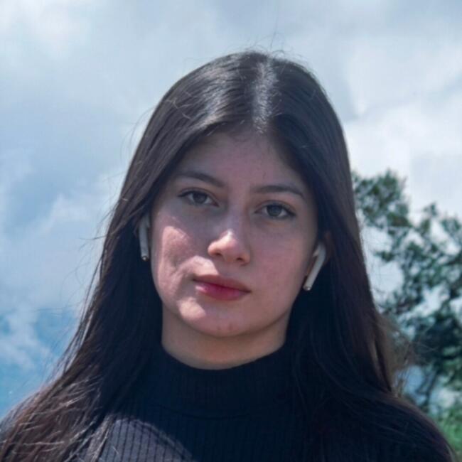 Niñera en Desamparados (Provincia de San José): Mirla Corrales Borge