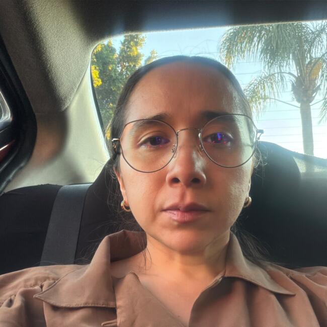 Babysitting job in Zapopan: Alejandra