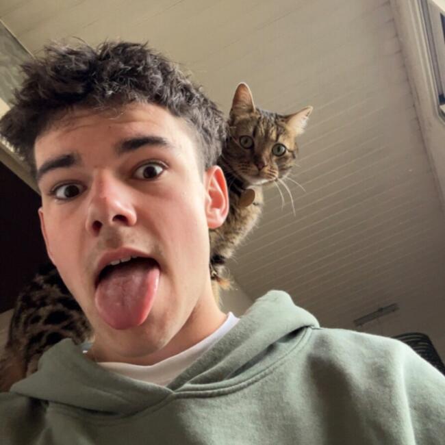 Babysitter in Libourne: Axel