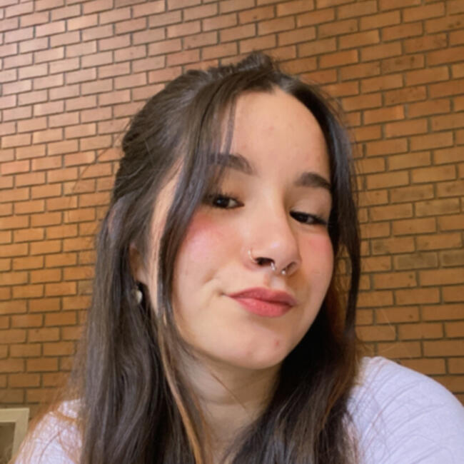 Niñera en Santiago de Chile: Franchesca