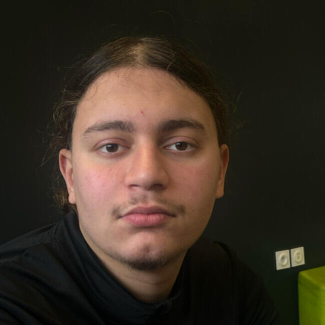 Babysitter in Montpellier: Yousri