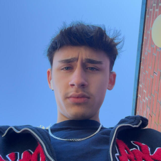 Babysitter in Delmenhorst: Leo