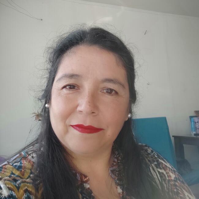 Babysitter in Port Montt: Pame