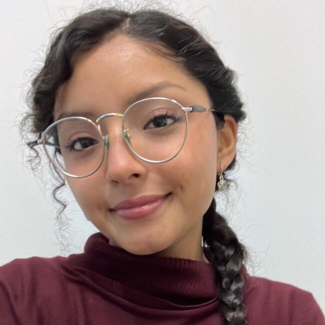 Babysitter in La Cañada: Alin Avigail
