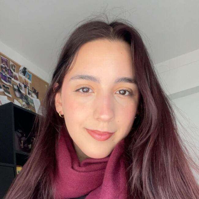 Babysitter in Braga: Alexandrina