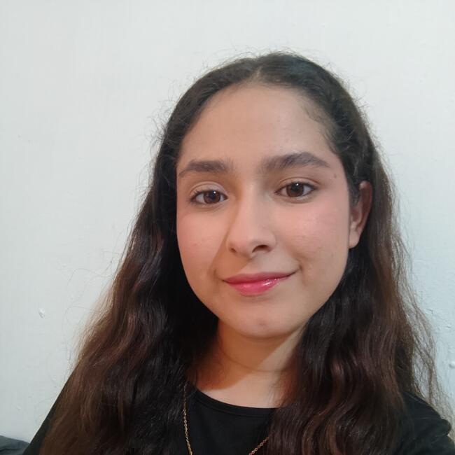 Babysitter in Hermosillo: María Teresa