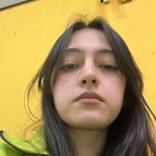 Babysitter in Santiago: Sasha