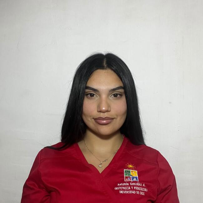 Babysitter in Santiago: Antonia