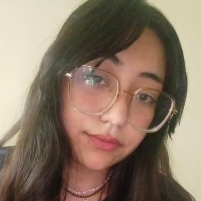 Babysitter in Antofagasta: Claudia