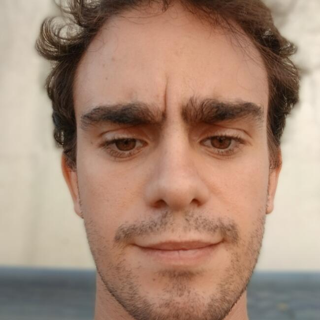 Babysitter in Ferreiros (Amares): Estêvão